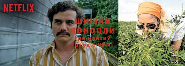 дмт Балабаново