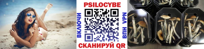 OMG зеркало Туринск Псилоцибиновые грибы Cubensis